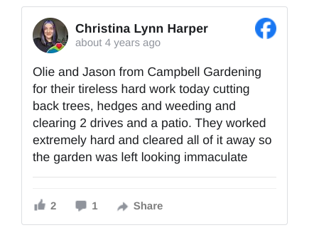 image with text review : Christina Lynn Harper  recommends Campbell Gardening Services.
eootrdsnSpf
g
A
71f5u64
5
0
u
2
s
0
g
u
0
l
2
4a23uma0
t
78lm0l8
2
3ih0i2ifff
  · 
Olie and Jason from Campbell Gardening for their tireless hard work today cutting back trees, hedges and weeding and clearing 2 drives and a patio. They worked extremely hard and cleared all of it away so the garden was left looking immaculate