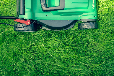 A lawn with a lawnmower.