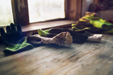 Gardening gloves on a windowsill.