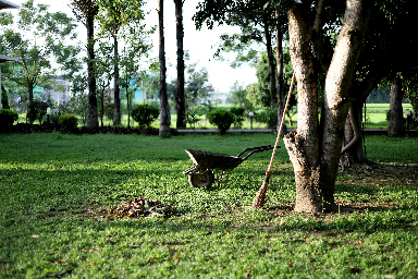 gardening tools in a garden